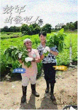 亲子共看互动节目条目