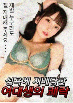 数据看板板块的推荐配图